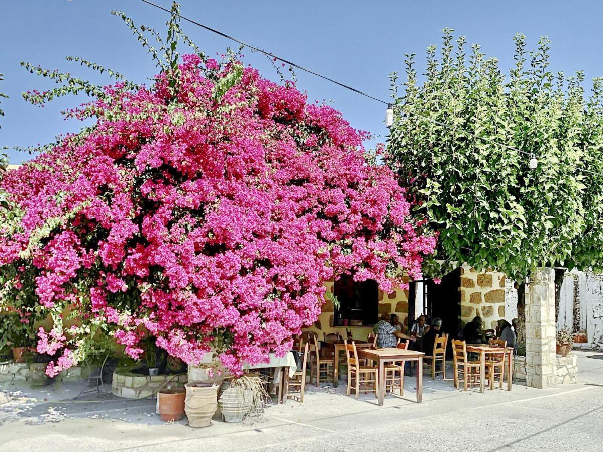 Villa Artemis Vryses Crete Alikampos Buitenkant foto